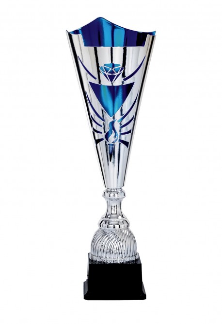 Coupe Laser Métal : 4021