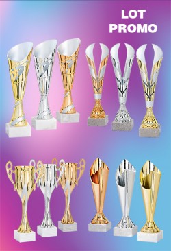 Lot de 12 Coupes : 2025-2