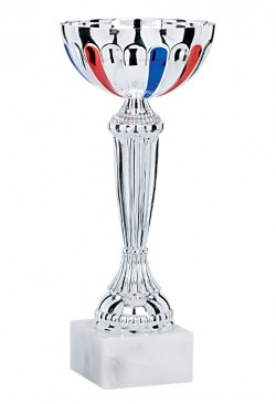 Coupe Économique Métal : 1541
