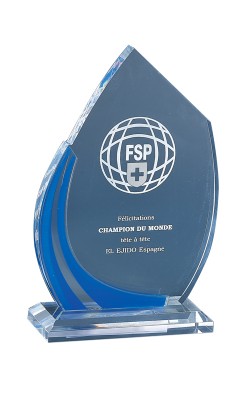 Trophée Acryglass Personnalisé 179-41-CLI