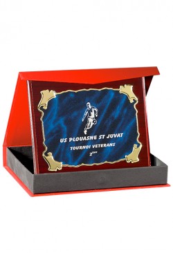 Plaque de distinction 188-51-SU