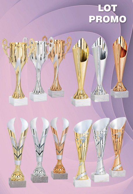 Lot de 12 Coupes : 2026-2