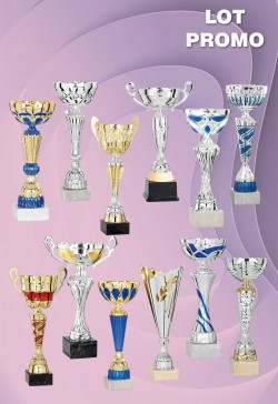 Lot de 12 Coupes : 2026-4