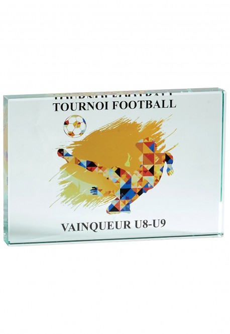 Trophée Verre Personnalisé 155-21-SU