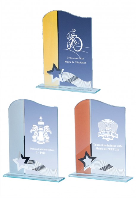 Trophée Verre Personnalisé 161-51-CLI
