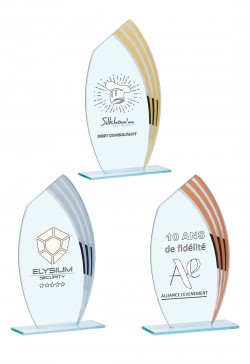 Trophée Verre Personnalisé 162-21-CLI