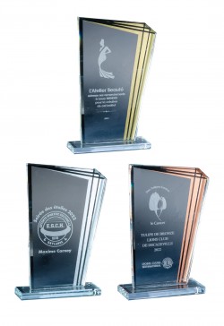 Trophée Verre Personnalisé 172-41-CLI