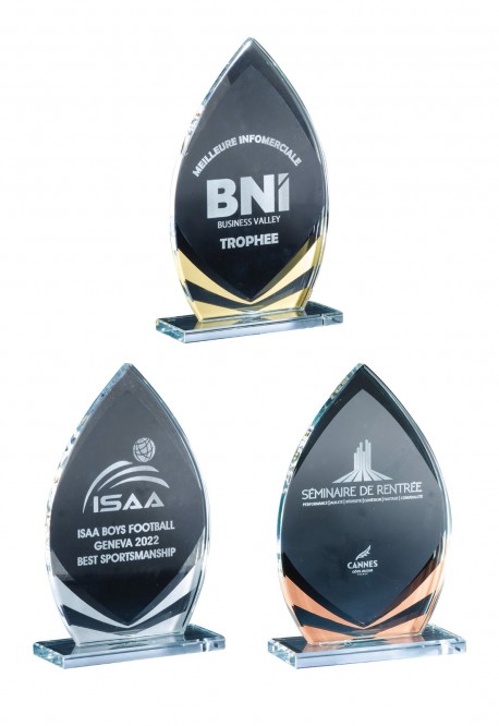 Trophée Verre Personnalisé 172-21-CLI