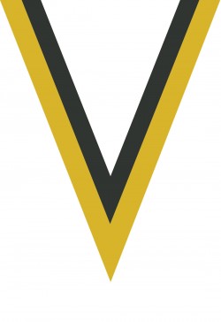 Ruban Médaille  Jaune/Noir : 6034