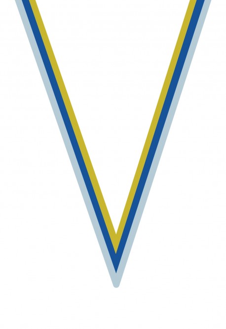 Ruban Médaille  Blanc/Bleu/Jaune : 6056-1