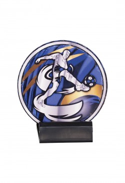 Trophée Football 48109