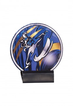 Trophée taekwondo 48113