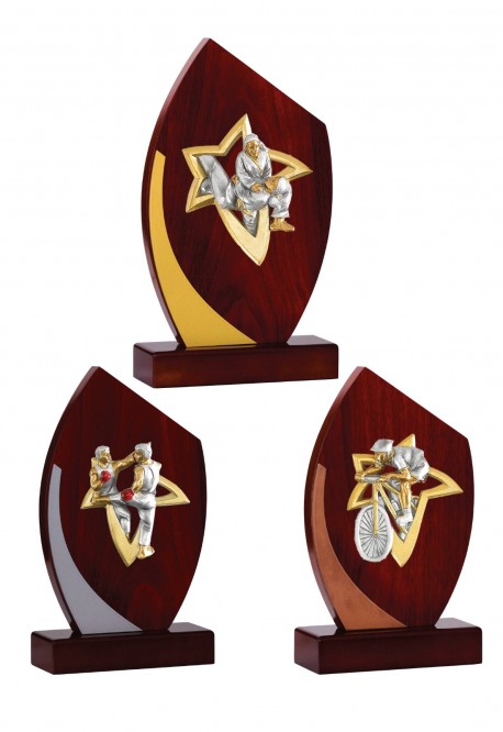 Trophée Bois Personnalisé 128-11-NJ