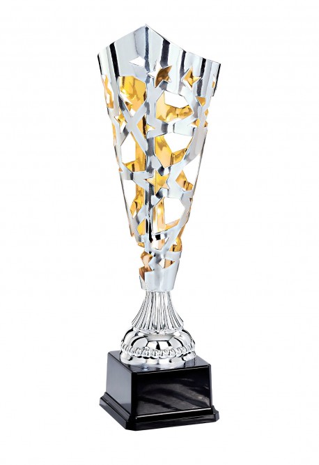 Coupe Laser Métal : 3761