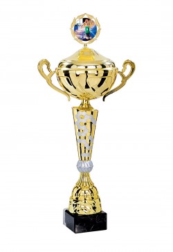 Coupe Personnalisée Métal : 4181W-C