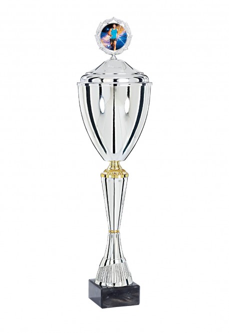 Coupe Personnalisée Métal : 4221W-C