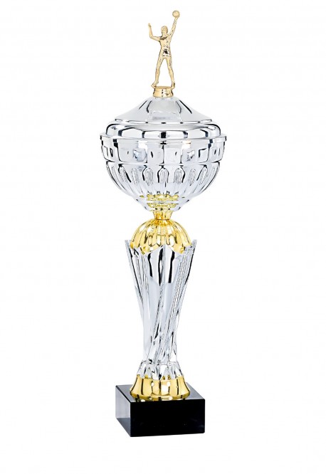 Coupe Personnalisée Métal : 4851W-D