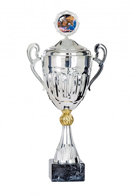 Coupe Personnalisée Métal : 5781W-C