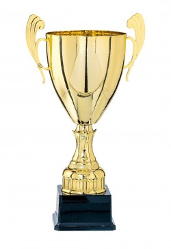 Coupe Prestige Métal : 5811