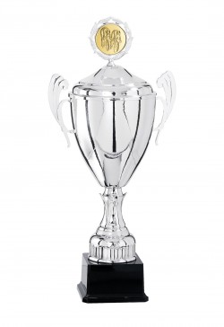 Coupe Personnalisée Métal : 5821W-C