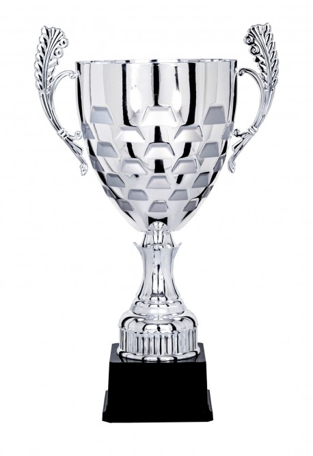 Coupe Prestige Métal : 5901