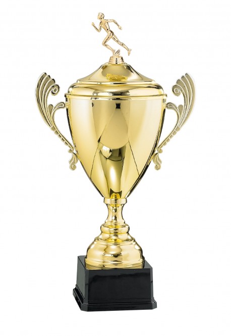 Coupe Personnalisée Métal : 6531W-D