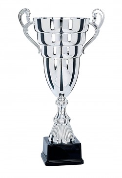 Coupe Prestige Métal : 6691