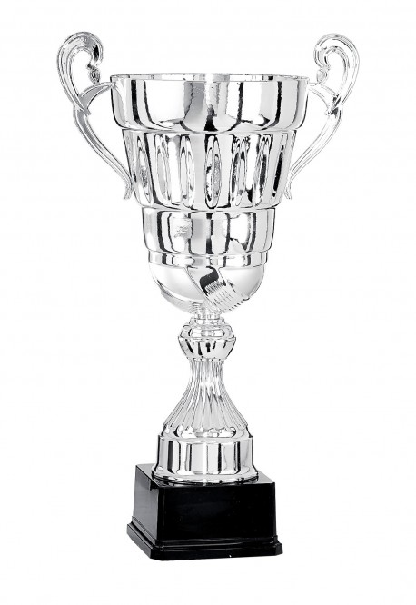 Coupe Prestige Métal : 6701