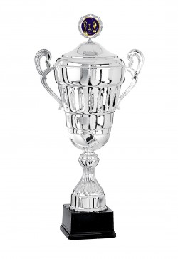 Coupe Personnalisée Métal : 6701W-C