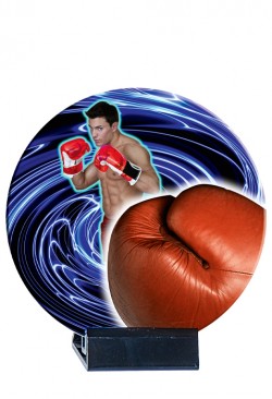 Trophée Céramique Boxe B03