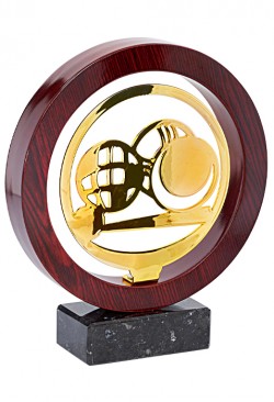 Trophée Bois Métal Cyclisme JX06