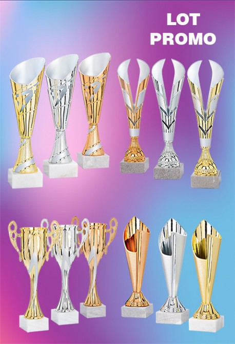 Lot de 12 Coupes : 2025-2