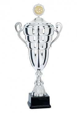 Coupe Personnalisée Métal : 6691W-C