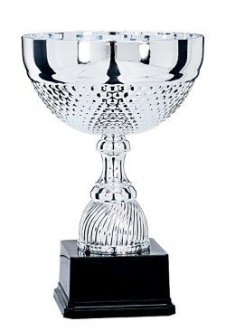 Coupe Prestige Métal : 6781