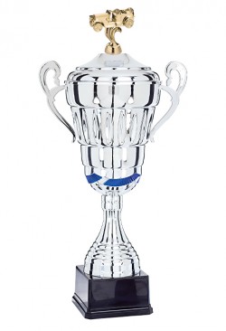 Coupe Personnalisée Métal : 6981W-D
