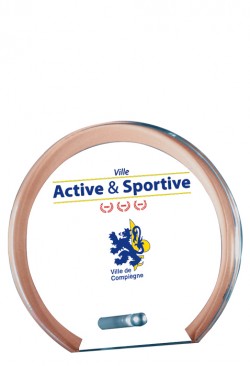 Trophée Verre Personnalisé 155-01-SU
