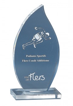 Trophée Acryglass Personnalisé 174-11-CLI