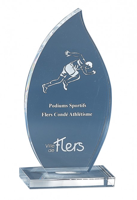 Trophée Acryglass Personnalisé 174-11-CLI