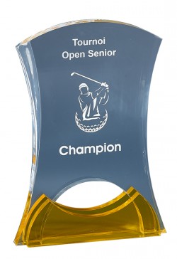 Trophée Acryglass Personnalisé 178-11-CLI