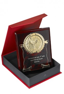 Plaque de distinction : 185-71C