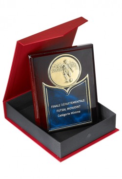 Plaque de distinction : 185-81C