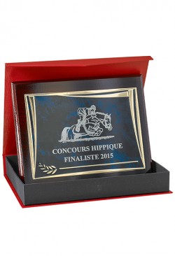 Plaque de distinction : 186-51-CLI