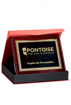 Plaque de distinction : 187-31-CLI