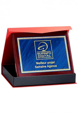 Plaque de distinction : 187-91-CLI