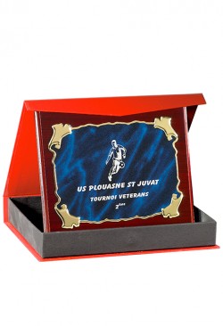 Plaque de distinction : 187-55-CLI