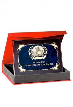 Plaque de distinction : 187-45-C