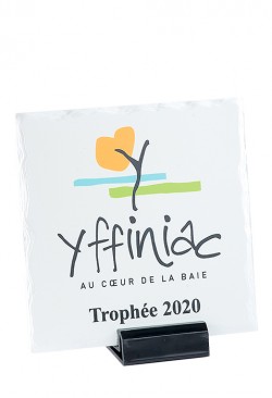 Plaque Personnalisée 188-31-SU