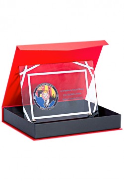 Plaque de distinction 189-51-SU