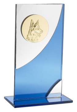 Trophée Personnalisé Médaillon 136-35-C