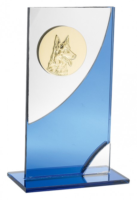 Trophée Personnalisé Médaillon 136-35-C